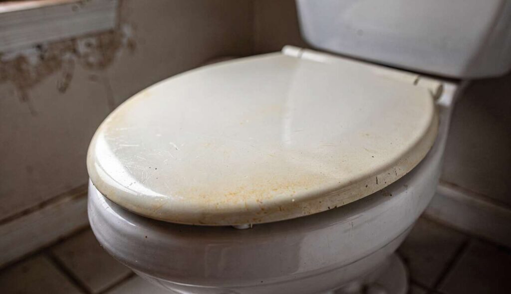 Vergilbter WC-Sitz: Dieses Hausmittel macht ihn in Minuten wieder strahlend weiß