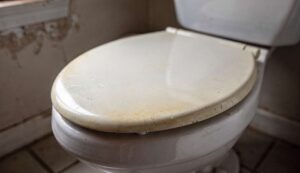 Vergilbter WC-Sitz: Dieses Hausmittel macht ihn in Minuten wieder strahlend weiß