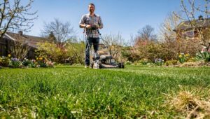 Rasen nach dem Winter: Warum Gärtner den ersten Schnitt im März auf genau 5 cm empfehlen